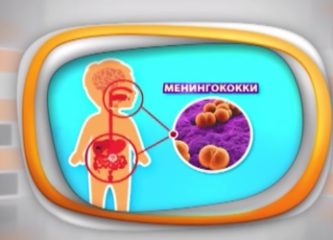 Осторожно, менингит!